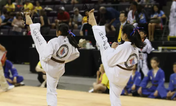1 or 2 Months of Martial Arts Classes with Uniform at American Martial Arts Academy - Naperville (Up to 77% Off) - Primary Image