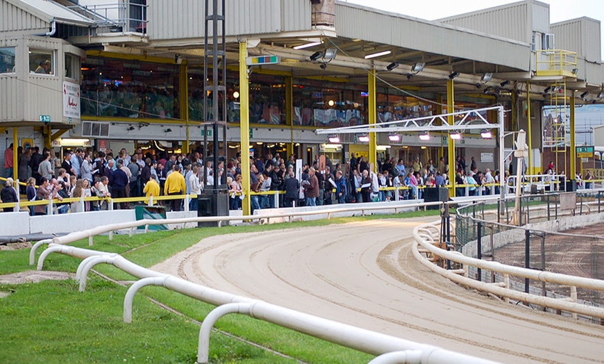 Image 3: Greyhound Racing, Drinks and Bets