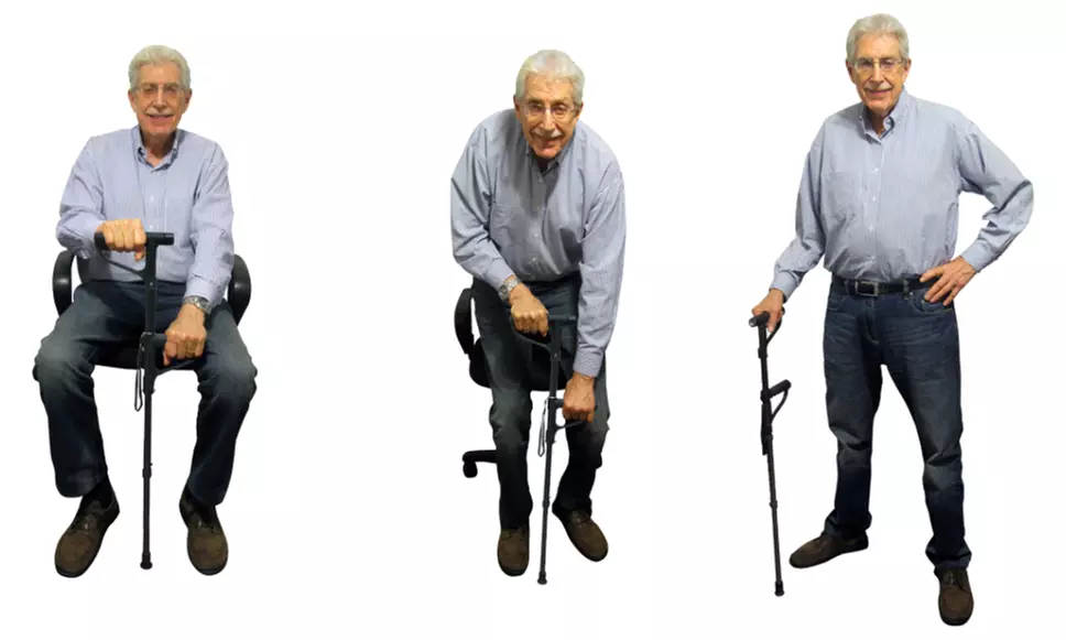 aPallo 2 Sit-to-Stand Walking Cane - Primary Image