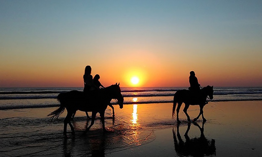 Image 1: Ruta a caballo para 1, 2 o 4 personas en Rancho Los Girasoles