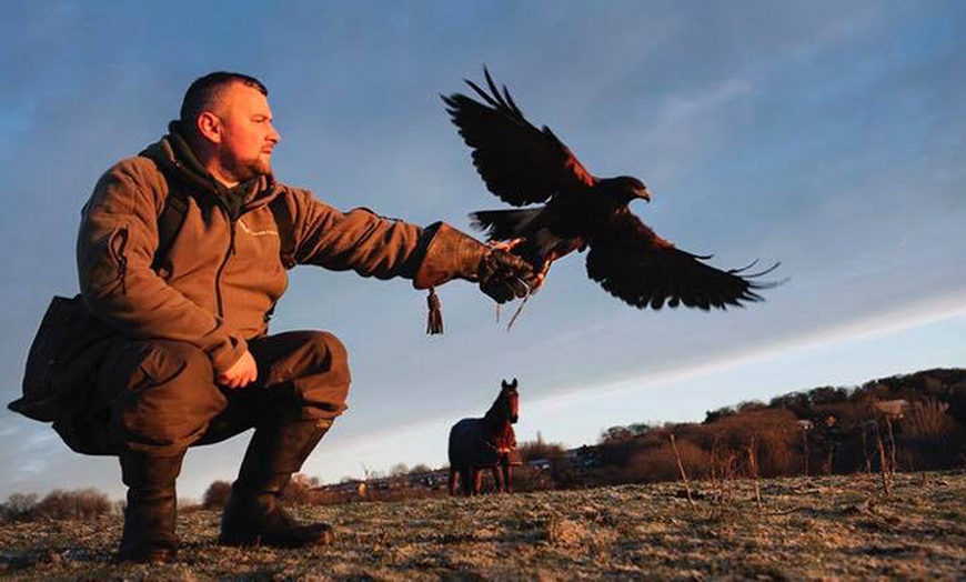 Image 1: Private Bird of Prey Handling