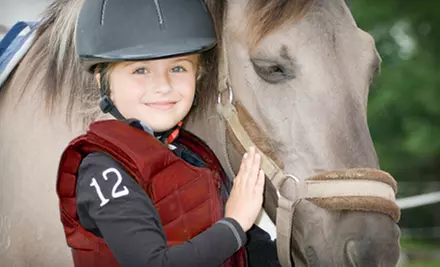 $39 for Two 60-Minute Private Horseback-Riding Lessons at Lucky Stables LLC ($80 Value) - Primary Image