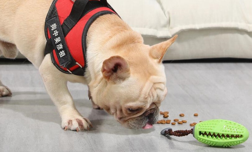 Image 12: Boule à mâcher pour chiens