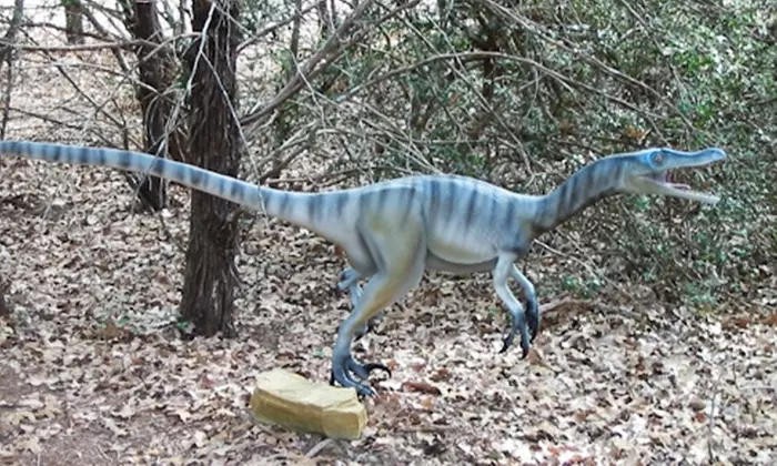Visit for Two to The Dinosaur Park (43% Off) - Primary Image