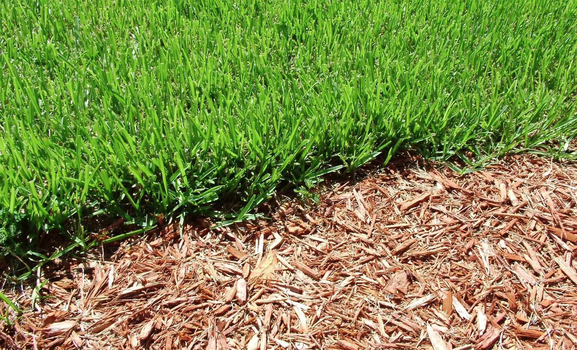 25% Off Mulching Services - Second Medium
