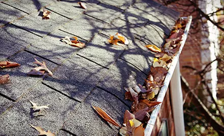 Gutter-Cleaning Visits from Evans Brothers Gutters (Up to 70% Off). Four Options Available. - Primary Image