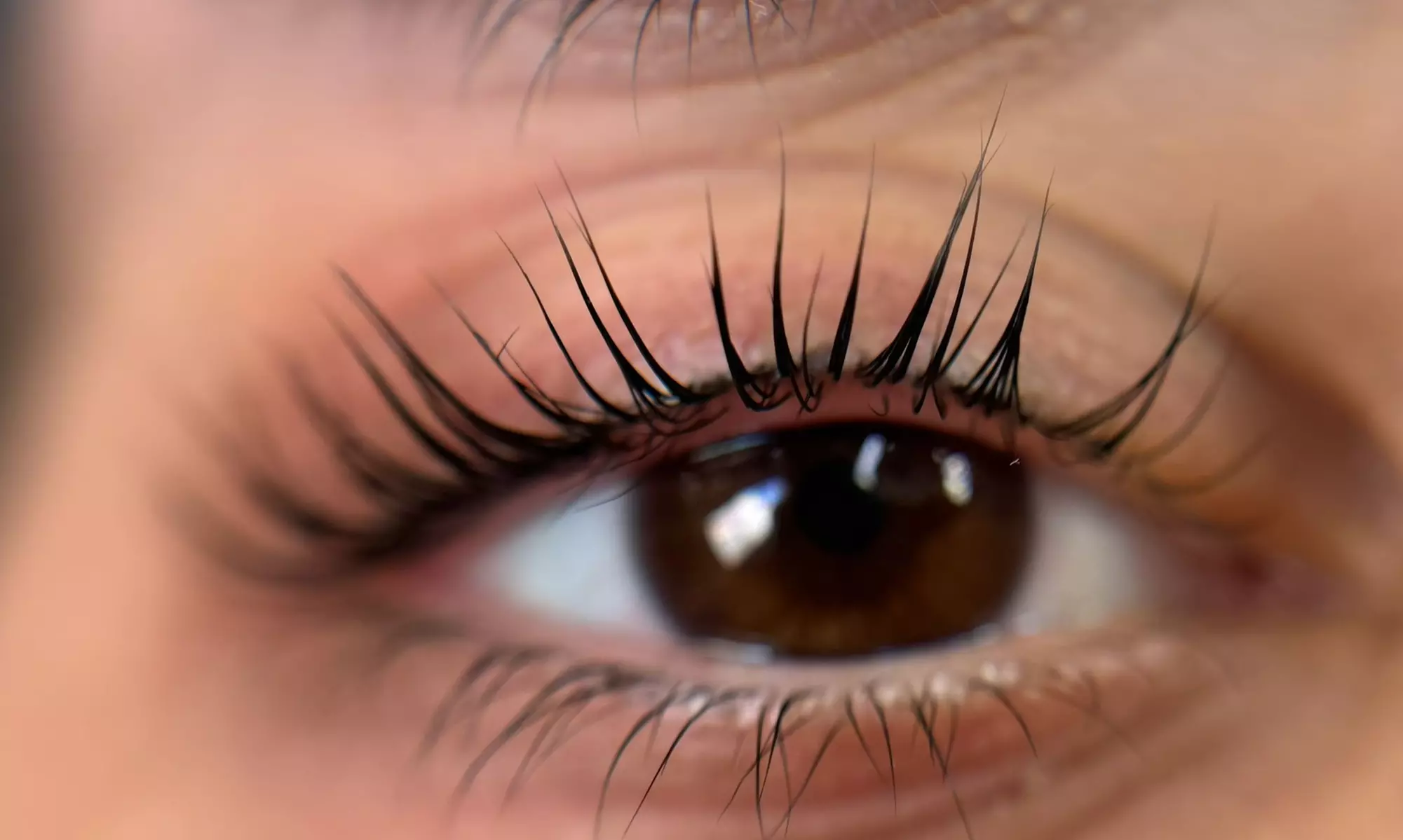 Wimpern- u. Augenbrauenlifting bei Permanent Make-Up Alicja Klesk