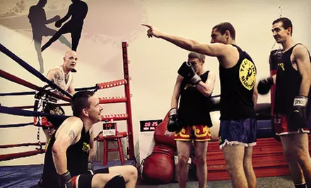 5 or 10 Muay Thai Classes at Team Link Muay Thai (Up to 80% Off) - Primary Image