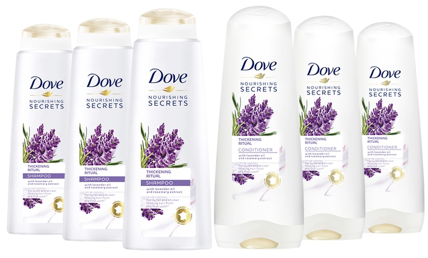 Image 14: Dove Shampoo and Conditioner Set