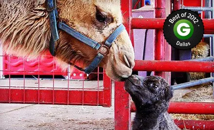 Safari Adventure for Two or Four at Sharkarosa Wildlife Ranch (Up to 50% Off) - Primary Image
