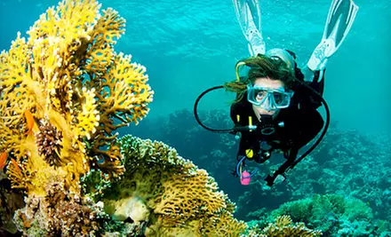 Three-Day Basic or Advanced PADI Open-Water Scuba Certification Program at Aaron's Dive Shop (Up to 31% Off) - Primary Image