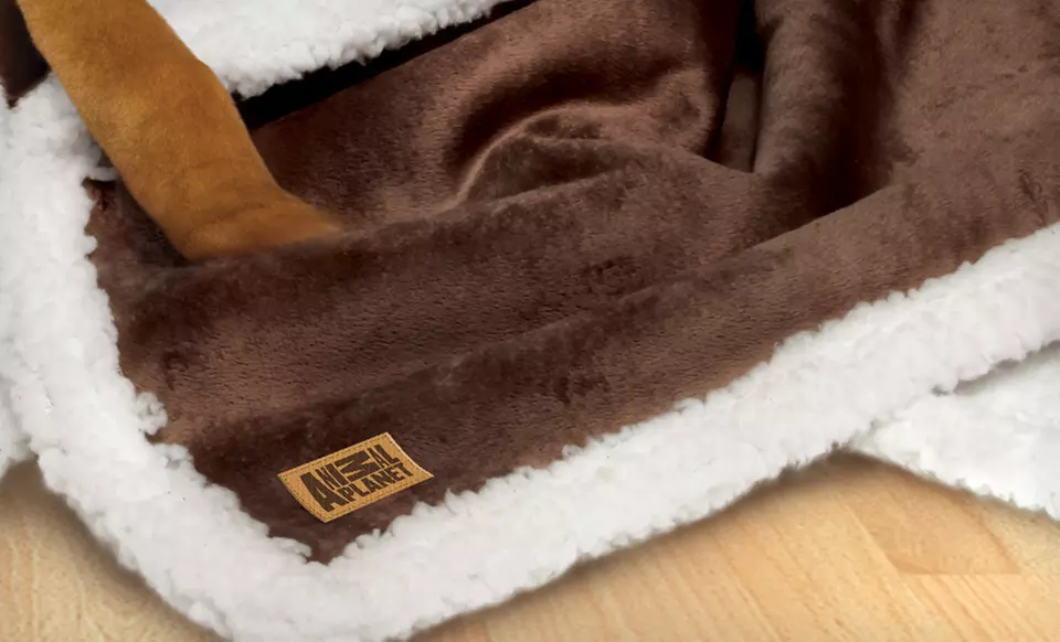$24 for an Animal Planet Sherpa Pet Blanket ($49.99 List Price). Free Shipping and Free Returns. - Second Medium
