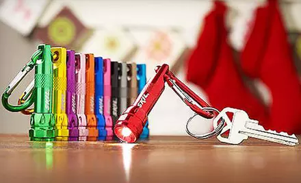 $12 for a Skil 12-Piece LED Flashlight and Carabiner Set ($19.88 Value) - Primary Image