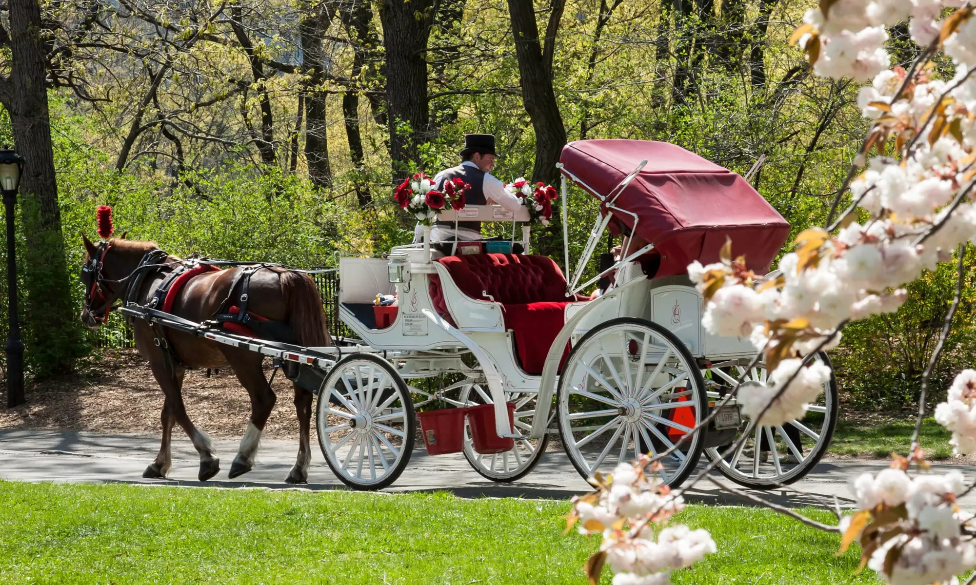 Up to 22% Off on Horse Drawn Carriage Ride at Central Park Horses - Primary Image