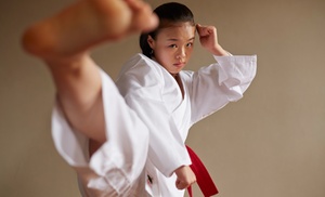 Explore Adult and Child Martial Arts Classes for 4-6 Weeks