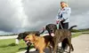 Seven Days of Pet Sitting Services from oc dog adventures (45% Off)