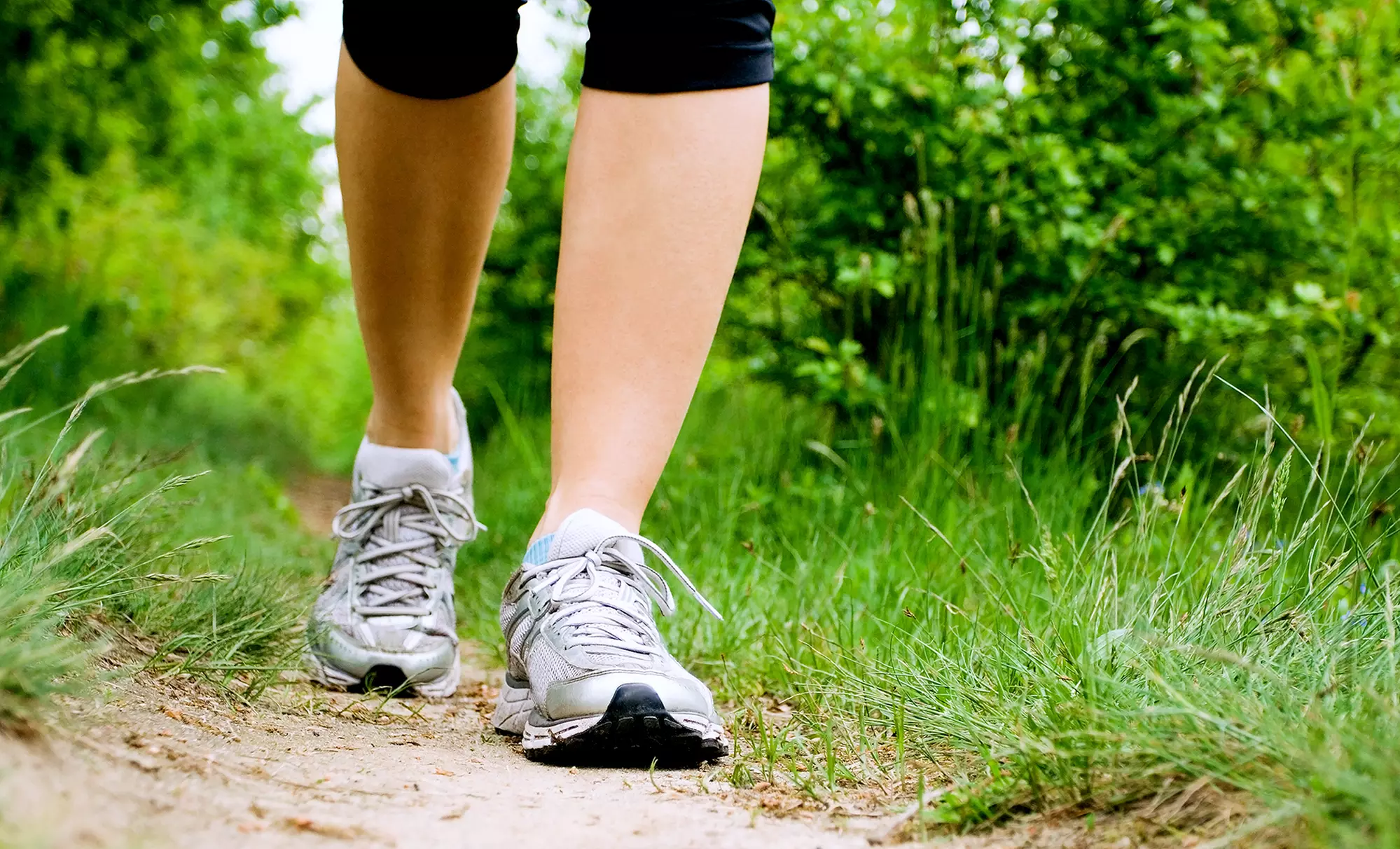Registration for 10K, 20K, 25K, 50K, or 5K Run from Oregon Trail Runs (Up to 53% Off) - Primary Image