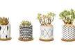 Lot de 3 pots de fleurs en céramique pour succulentes, modèle au choix - Image 2
