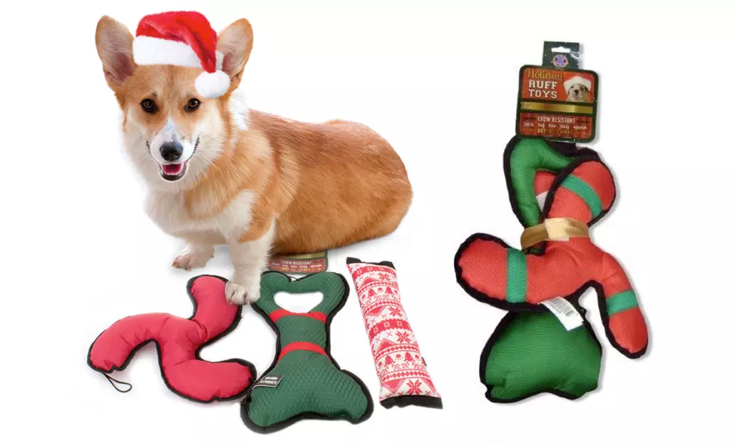 Bow Wow Pet Holiday Dog Toys Set (3-Pack) - Primary Image