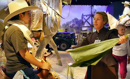 Witte Museum Visit for Two or Four with Entry to the South Texas Heritage Center (Up to 55% Off) - Primary Image