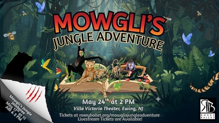 One Ticket - Reserved - Villa Victoria Theater - Central Jersey