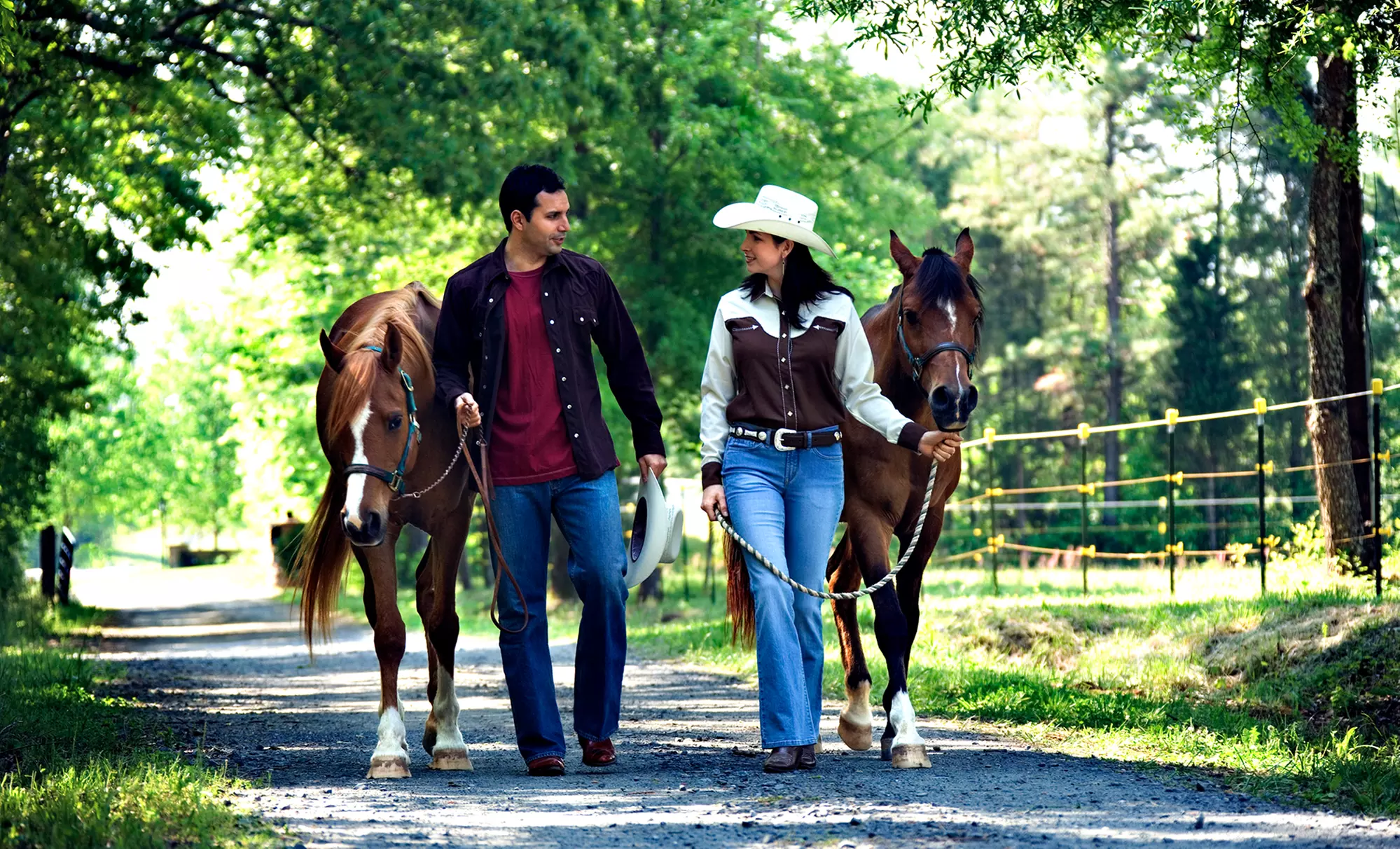 90-Minute Couples Horseback-Ride Date with a Photo, Drinks, and Dessert from Everything Equine (50% Off) - Primary Image