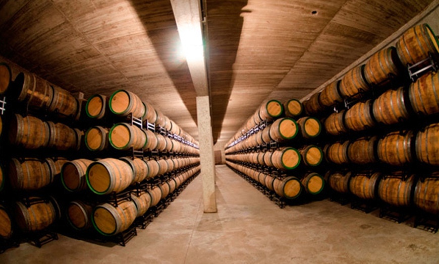 Image 3: Visita guiada a la bodega y cata de vinos en Bodegas Urbina