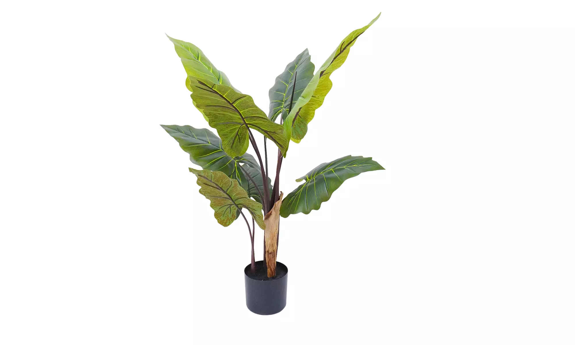 Collezione di piante finte da interno