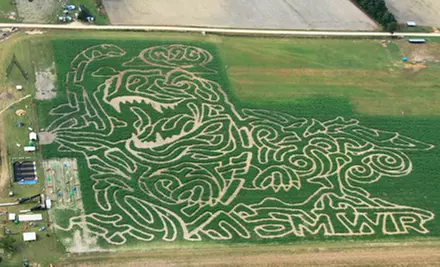 Corn Maze and Fall Activities for Two, Four, or Six at Hubb's Corn Maze (45% Off) - Primary Image