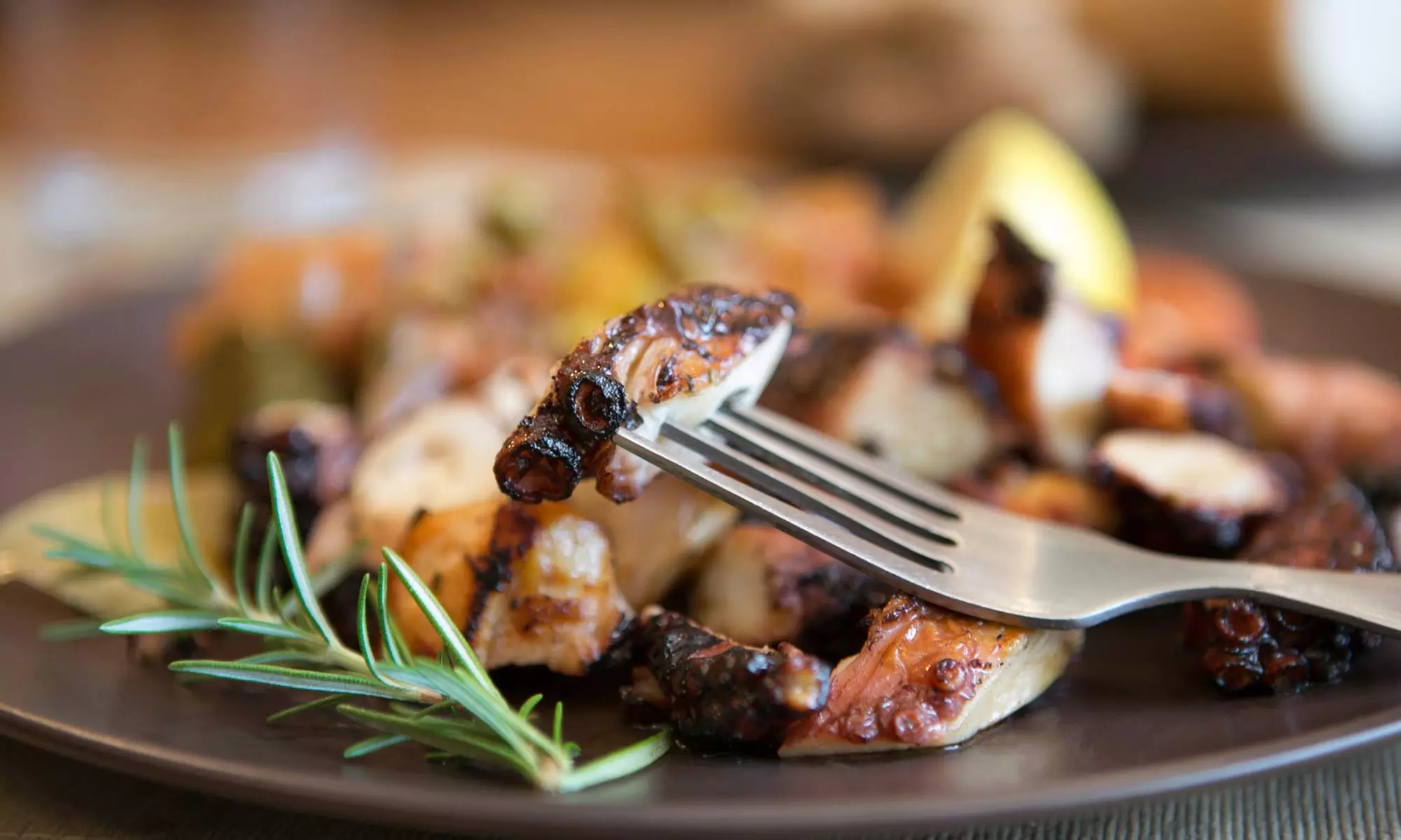 BYOB Bosnian Dinner for Two or Four at Cafe Adel (51% Off) - Primary Image