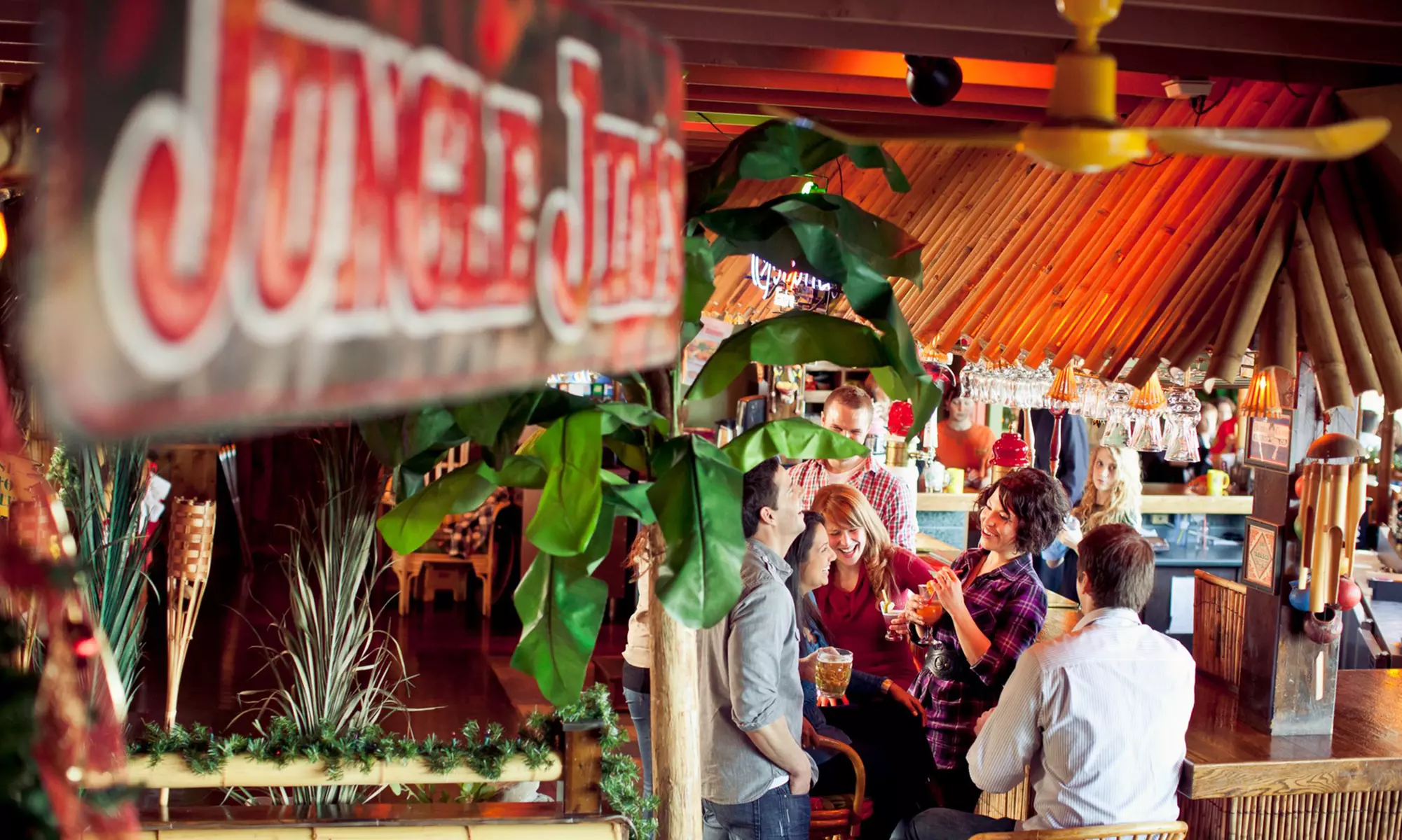 Ribs, Burgers, Chicken, Seafood, and Sandwiches and Steak-House Cuisine at Jungle Jim's (Up to 48% Off)  - Primary Image
