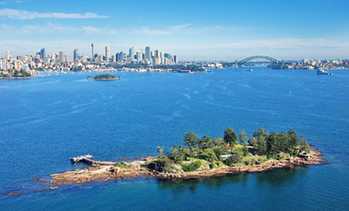 image for 3-Hr Shark Island Cruise + Meal