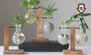 Glass Planter for Indoor Plants