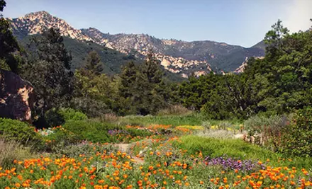One-Year Family or Individual Membership to Santa Barbara Botanic Garden (Up to 51% Off) - Primary Image
