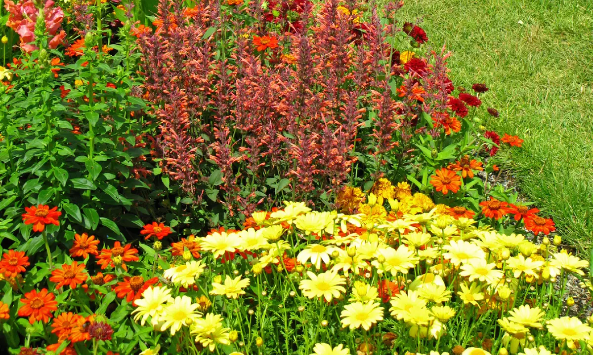 Roll-Out Assorted Flower Seed Mats - Primary Image