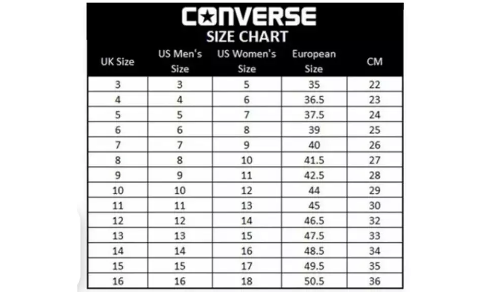 Converse Chuck Taylor All Star Ox Sneakers