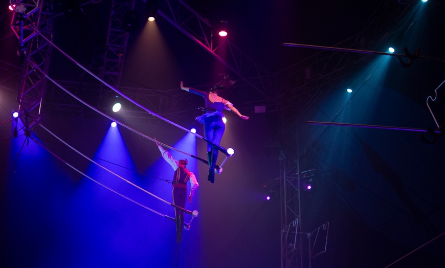 Image 8: Entrada al Circo de Navidad en Gijón