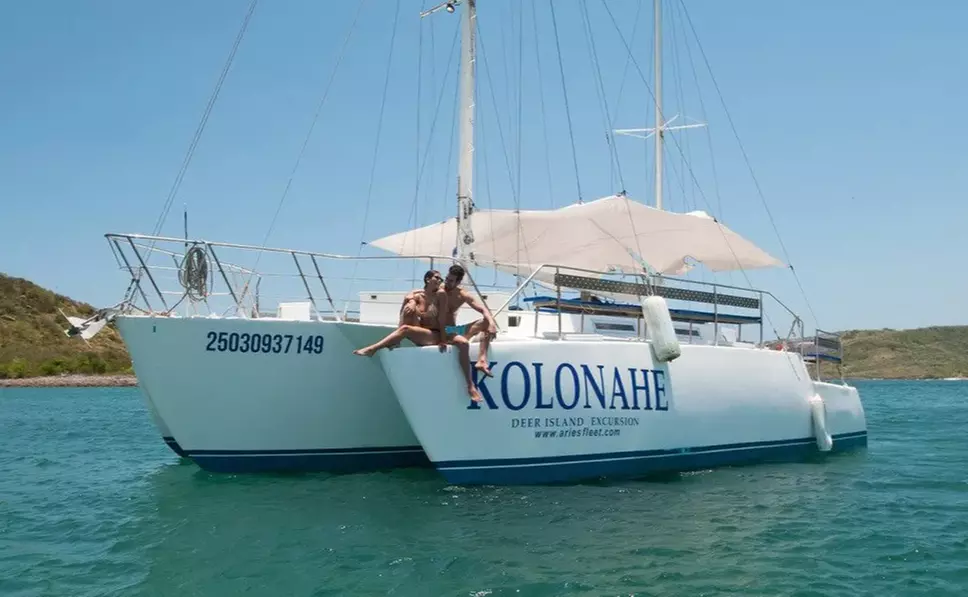 5-Hour Deer Island Reef Excursion for One Child or Adult from Pronatours - Mexico - Primary Image