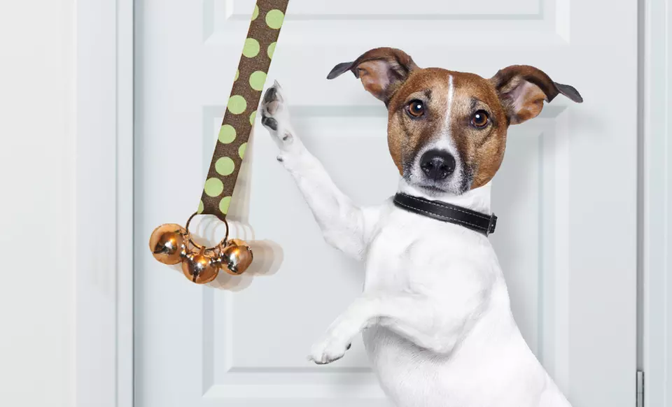 $12 for Potty Chimes Dog Potty-Training Chimes and DVD ($19.95 List Price). 15 Colors Available. Free Returns. - Primary Image
