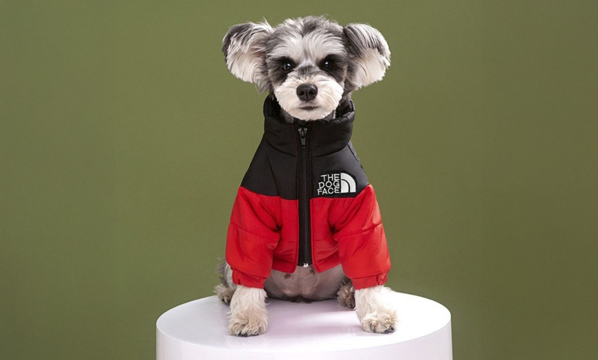 Image 3: Comfortable Winter Pet Jacket