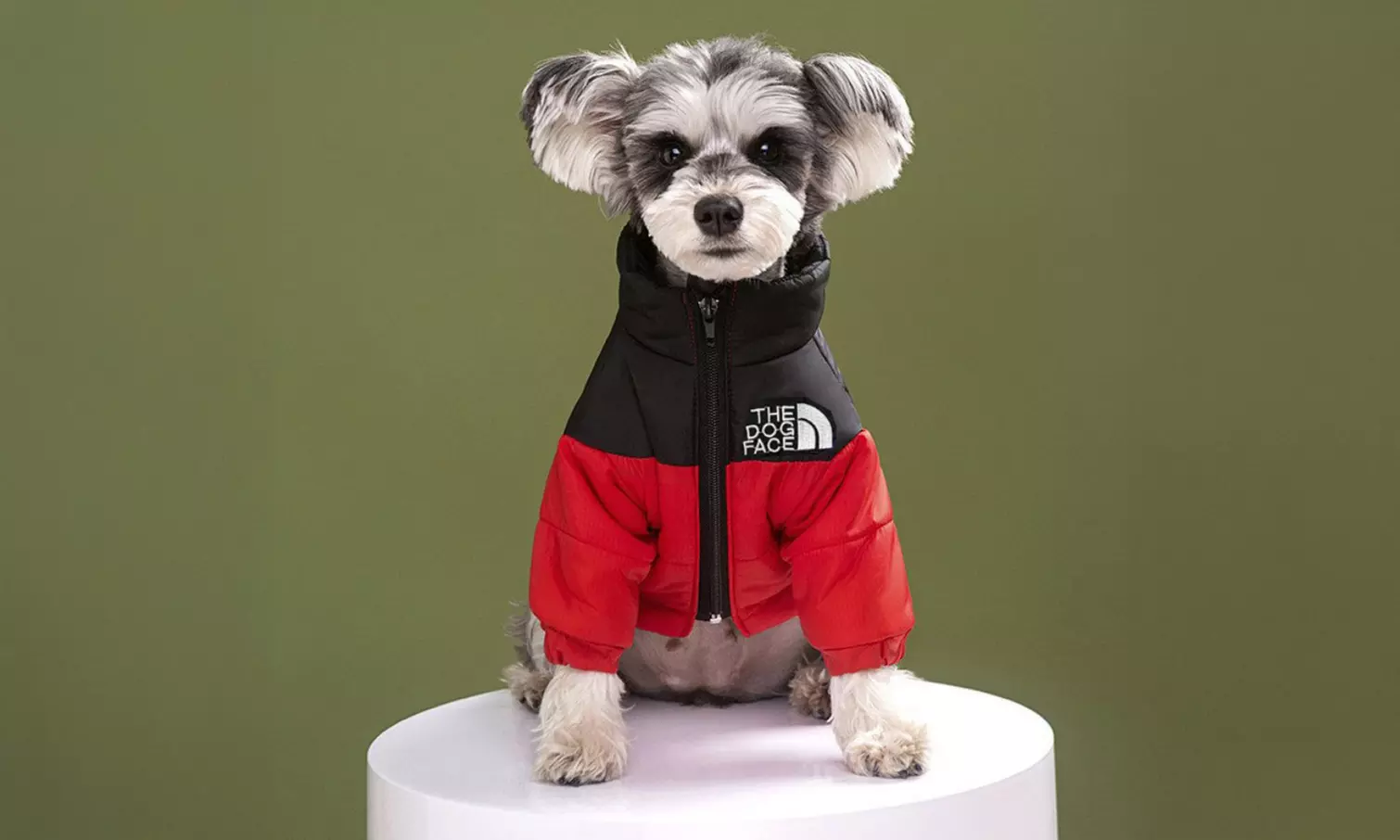 Comfortable Winter Pet Jacket