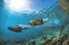 One or Two SEABOB rental (Up To 47% Off)