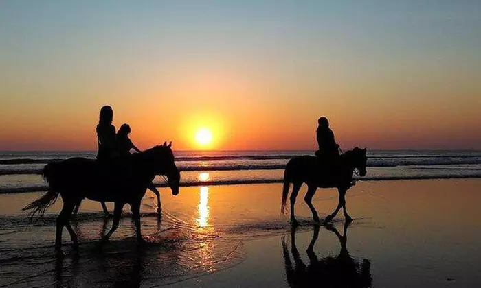 Paseo a caballo de 60 min en Centro Hípico Finca Ecuestre La Primavera