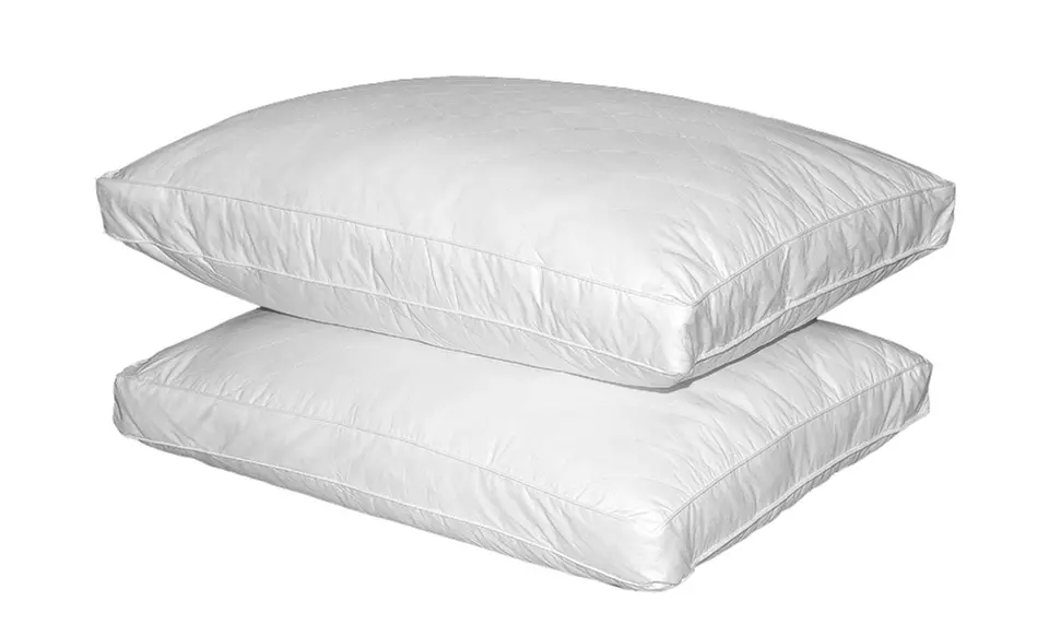 2-Pack of Club Le Med Back or Side Sleeper Pillows - Primary Image