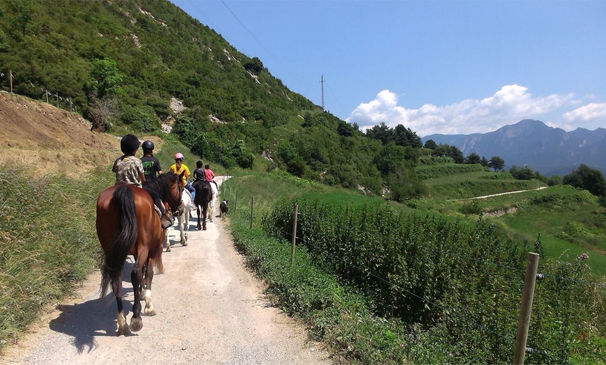 Image 6: Ruta a caballo para 1 o 2 personas en Hípica Vilaformiu