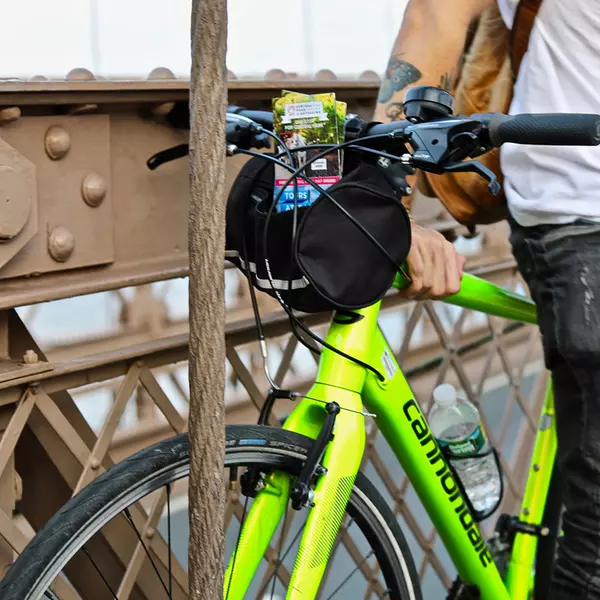 Unlimited Biking San Diego LLC From San Diego Groupon