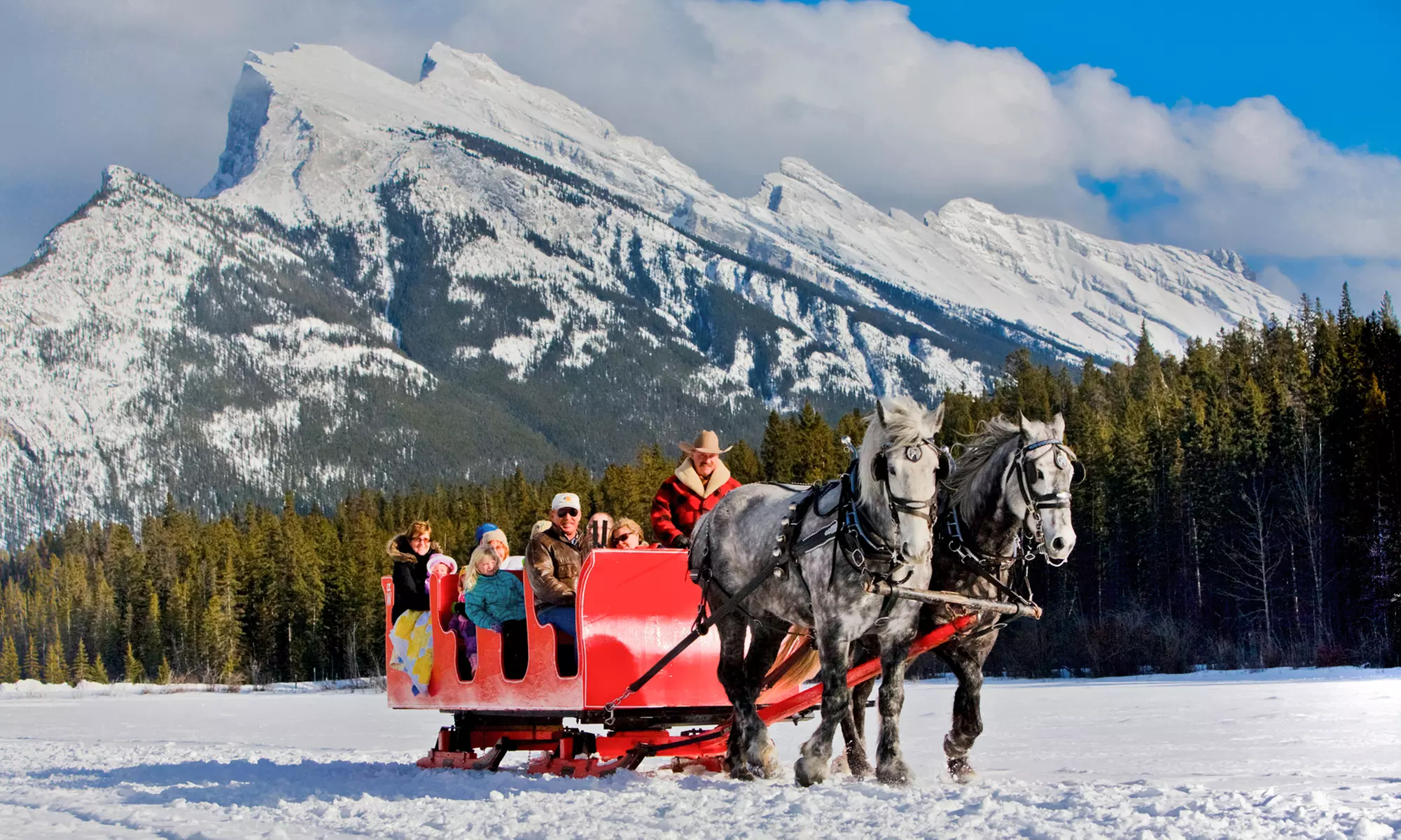 One 45-Minute Horse-Drawn Sleigh Ride for 2 or 4 or a Private Ride for 2 from Banff Trail Riders (Up to 38% Off)  - Primary Image