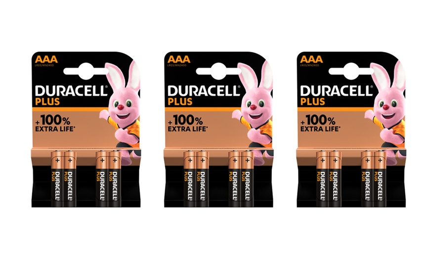 Image 8: 2 à 24 piles Duracell