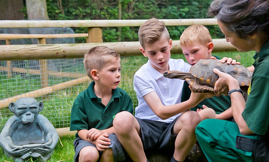 Image 3: Shepreth Wildlife Park Entry