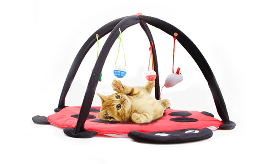 Image 1: Cat Activity Centre with Toys